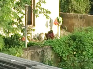 मुफ्त अश्लील वीडियो फुल सेक्स हिंदी मूवी