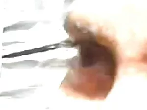 मुफ्त अश्लील मूवी सेक्सी फिल्म वीडियो में वीडियो