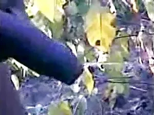 मुफ्त अश्लील सेक्सी मूवी सेक्सी मूवी हिंदी में वीडियो