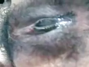 मुफ्त अश्लील सेक्सी फिल्म पूरी मूवी वीडियो
