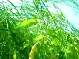 मुफ्त सेक्सी पिक्चर मूवी फुल एचडी अश्लील वीडियो