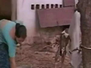 मुफ्त अश्लील सेक्सी मूवी हिंदी मूवी वीडियो