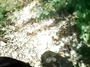मुफ्त सेक्सी मूवी दिखाइए हिंदी में अश्लील वीडियो