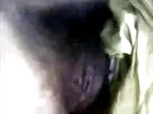 मुफ्त हिंदी सेक्सी फुल मूवी वीडियो अश्लील वीडियो