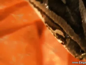 मुफ्त अश्लील बीएफ सेक्सी मूवी एचडी में वीडियो